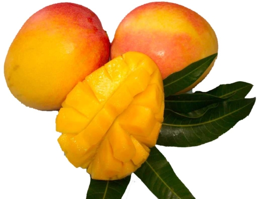 Az egzotikus gyümölcsök gyöngye – mangó